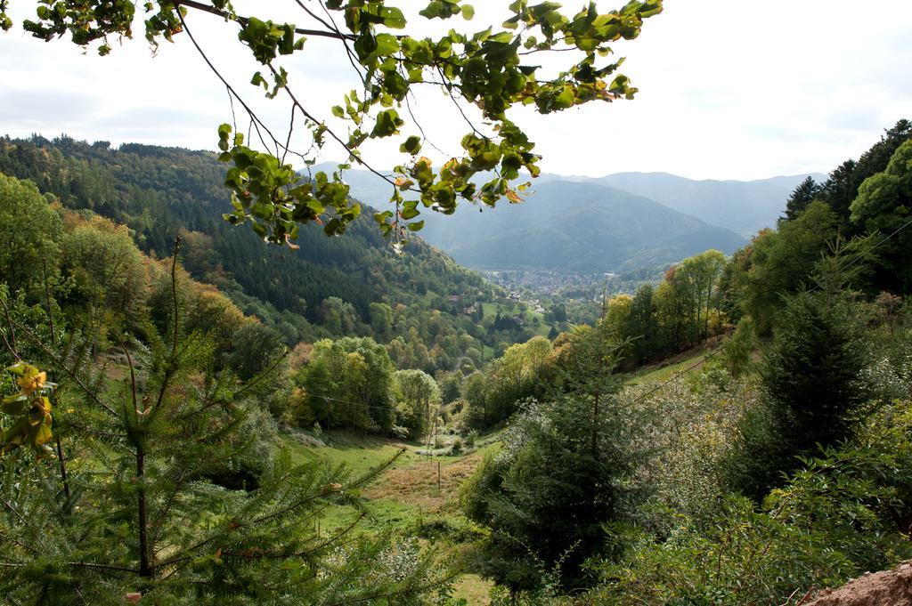 Logis Auberge Du Mehrbachel - Hotel & Restaurant Saint-Amarin Dış mekan fotoğraf